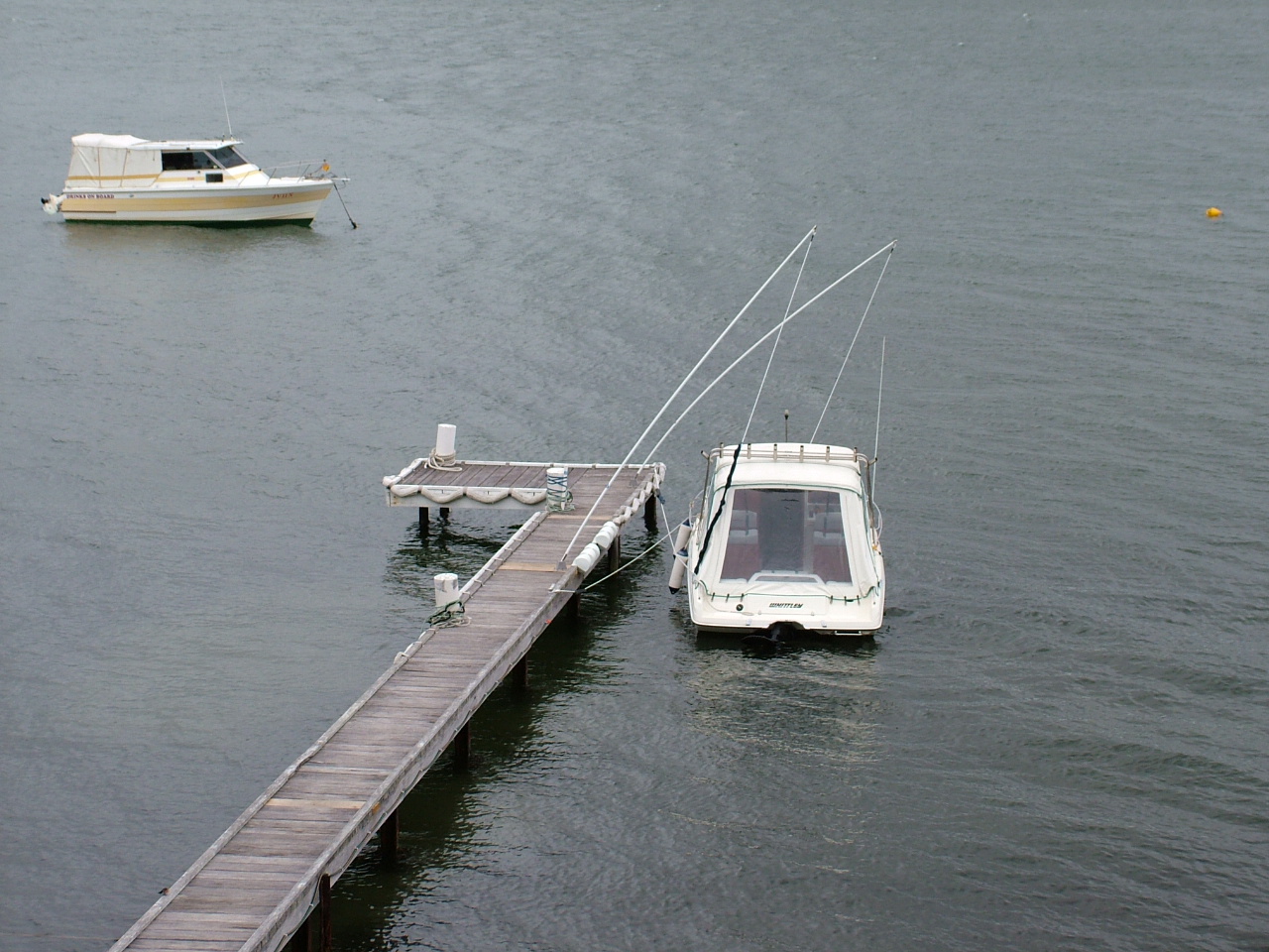 Mooring Whips for Boats & JetSkis